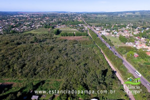 90G 2 TOP.00_01_35_07.Quadro017_94c70cbf962309fc1bed34bc75371b2893c78a80.jpg